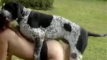 Golden-haired vixen presents her orifices to a canine