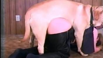 Furry dog pleases chubby ass mature with great sex