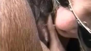 Zoophile lady tonguing this mare's pussy outdoors