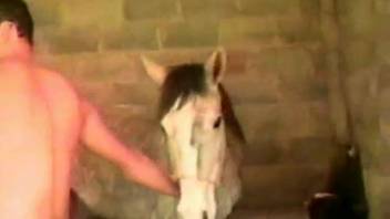 Guy with a stiff erection banging a female horse's steamy cunt