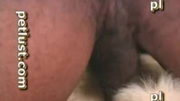 Guy with a rock-hard erection pounding a yielding animal