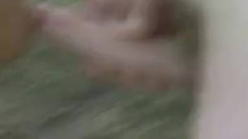 Aroused ladies eagerly swarm to the stallion's massive shaft