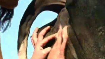 Sex video with a cow