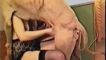 Hot booty chicks in classic real bestiality porn scenes