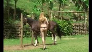 Thong-wearing Latina chick worships a horse cock