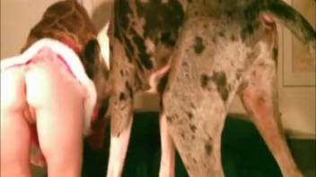 Intense bedroom encounter between a sexy housewife and her pet dog
