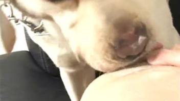Slender Japanese chick being pounded by a monster