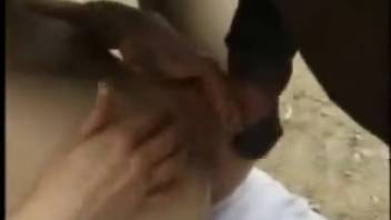 Excited women in intense equine encounters captured on camera