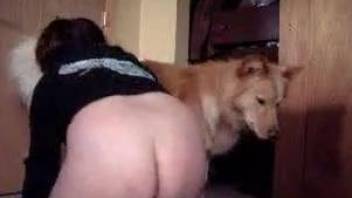 Aroused female is keen to stick this dog dick into her cunt