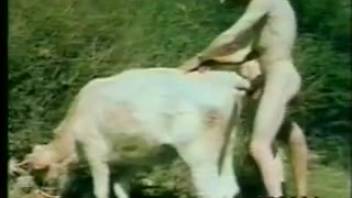 A variety of beasts banging aroused individuals in an old-school video
