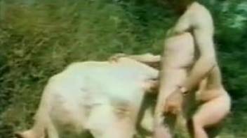 Various animals fucking horny people in a retro vid