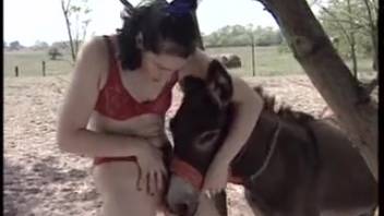 Wild outdoor bestiality frenzy featuring the sexiest babes