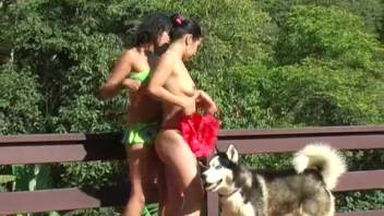 Dark-haired women being fucked by the identical doggy