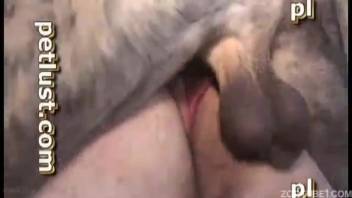 Intimate delights with the canine in genuine homemade erotic encounters