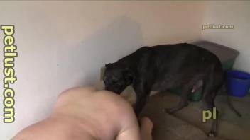 Phat booty dude enjoys hardcore sex with a dog