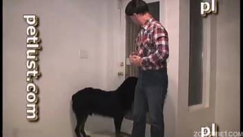 Gay man in a wig gets anally penetrated by a dog