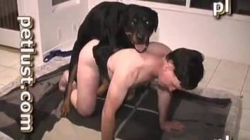 Wig-wearing gay dude gets fucked in the ass by a dog