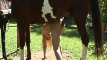 Golden-haired stunner jiggles her boobs while deepthroating the massive horse dick