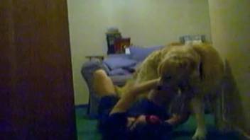 Hot babe in a mini skirt yields to her dominant pup