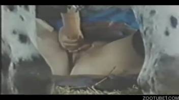 Naked lady takes on full horse dick in flawless adult footage
