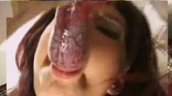 Slut works the dog cock in her mouth during a complete xxx