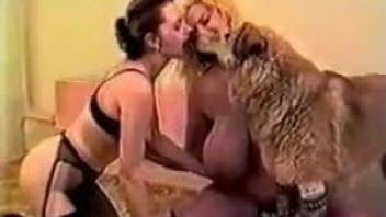 Amateur mature woman fucked by the same dog