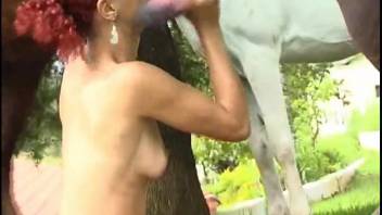 Skinny babe smooches the horse and tests its enormous cock