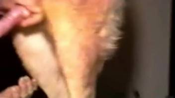 Intense blowjob episode with a blonde mature vixen