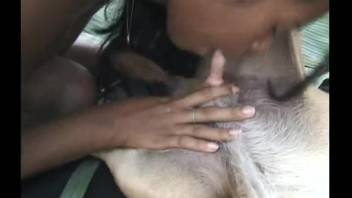 Latina bombshell deals with a massive horse-sized cock in her pussy