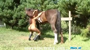 Slender novice woman inserts whole equine cock into her rear