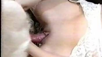Busty woman relishes amazing animal sex session on webcam