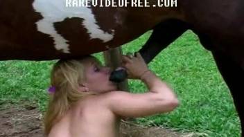 Blonde milf shakes the huge horse cock in excellent modes