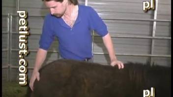 Guy with ponytail cheerfully banging a female horse's soaked pussy