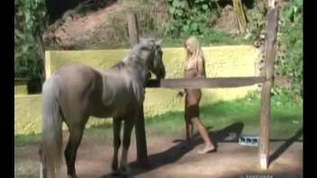 Blondie is pleased to smash the horse cock into her cunt