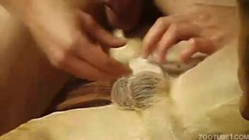 Guy's stiff dick pounding a meek dog
