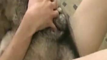 Man's stiff dick demolishes a female dog's dripping tight vagina