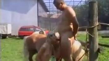 Screaming milf gets the horse cock fully in her tight pussy