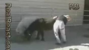 Outdoor bestiality session with passionate fucking