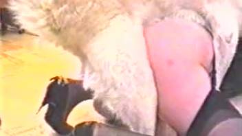 Vaginal fun with an aroused canine for a lonely housewife