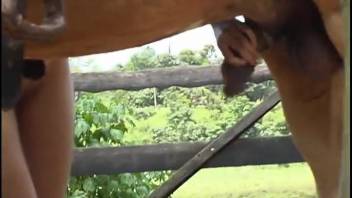 Voluptuous spouse astonishes with her messy blowjob skills on the stallion's cock