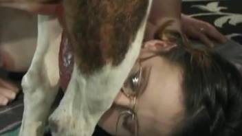 Nerdy hottie with glasses gets throated by a dog