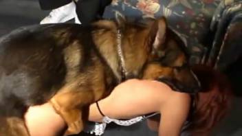 Fiery-haired hottie drops to hands and knees for sex with a dark dog
