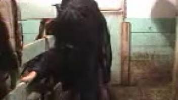 Voluptuous older woman handles a massive, sturdy horse-like dick inside her pussy