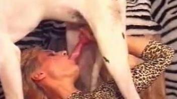 Leopard print hottie is about to fuck a kinky dog