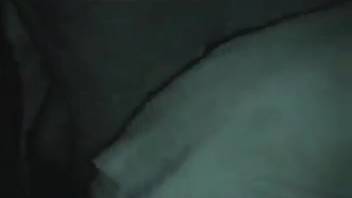 Guy screws the mare in the dead of night