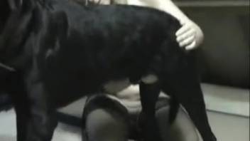 Golden-haired vixen stroking a canine's splendid shaft