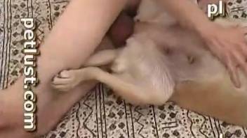 Man treats himself with a bit of dog pussy in home XXX video
