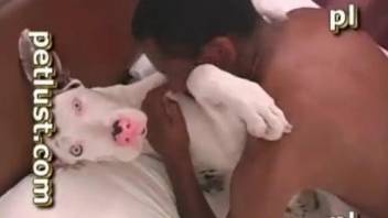 Dog porn zoophilia compilation with male partners