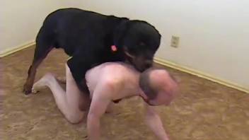Ebony cock fits slender novice guy for intense butt penetration