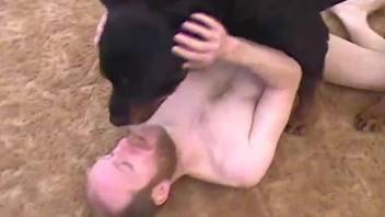 Insolent gay man delights himself with a good dog fuck